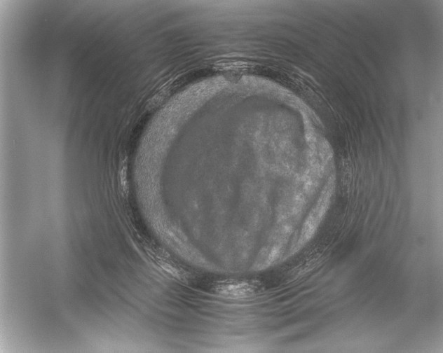 X0000051880267200507221957