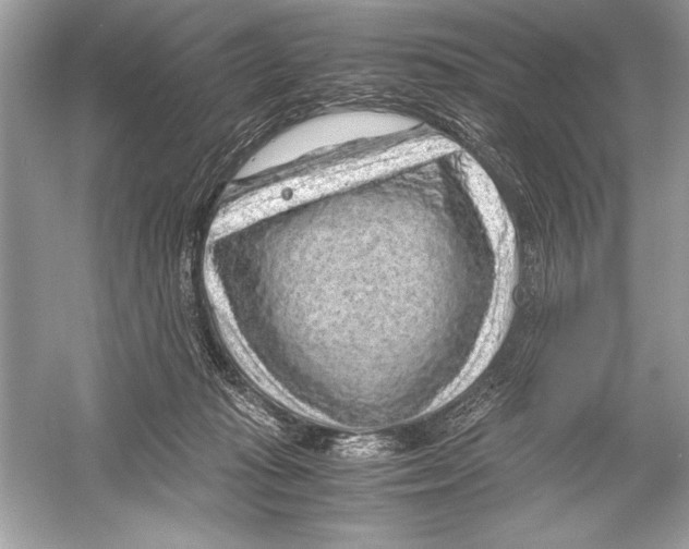 X0000051880269200507221957