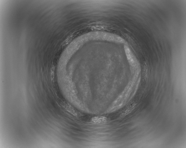 X0000051880271200507221957