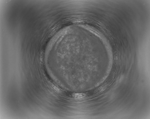 X0000051880277200507221957