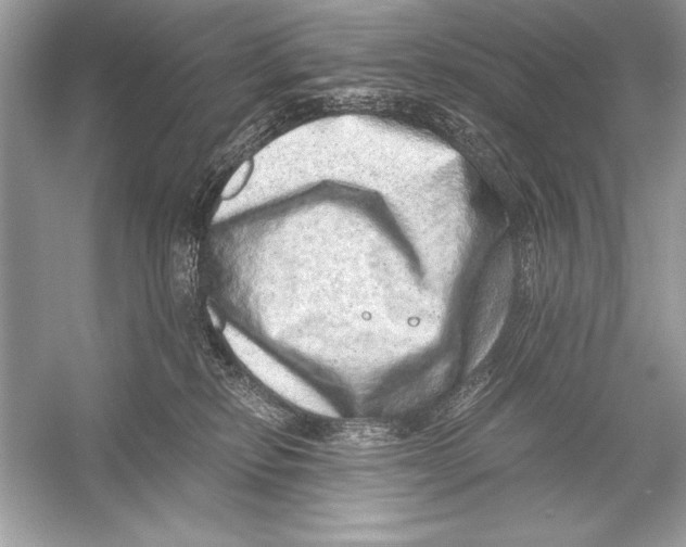 X0000051880278200507221957