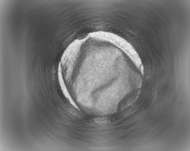 X0000051880279200507221957