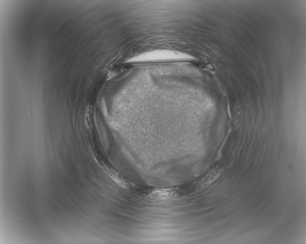 X0000051880280200507221957