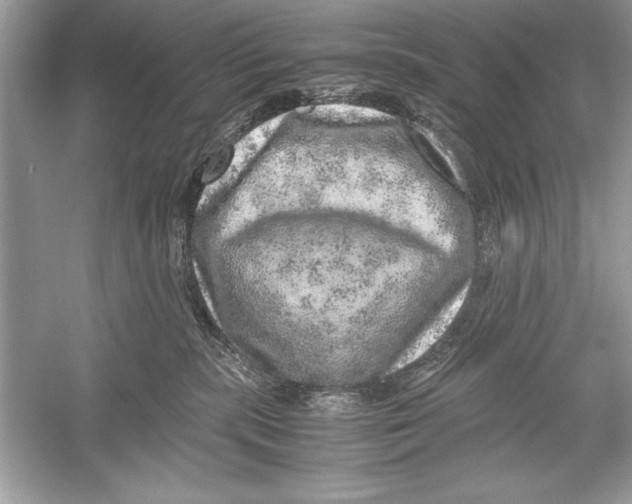 X0000051880283200507221957