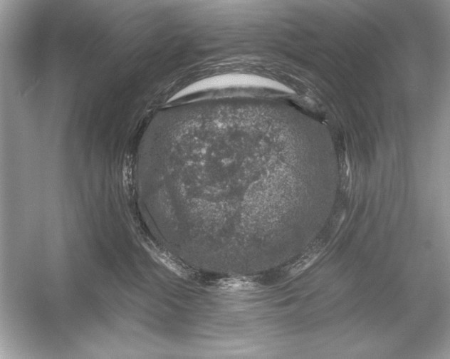 X0000051880284200507221957