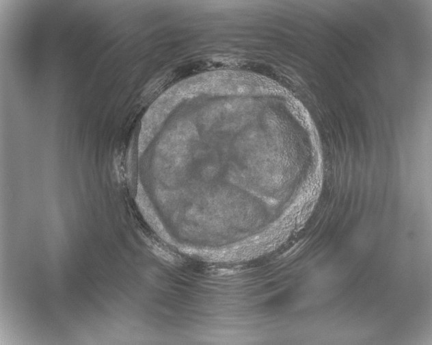 X0000051880285200507221957