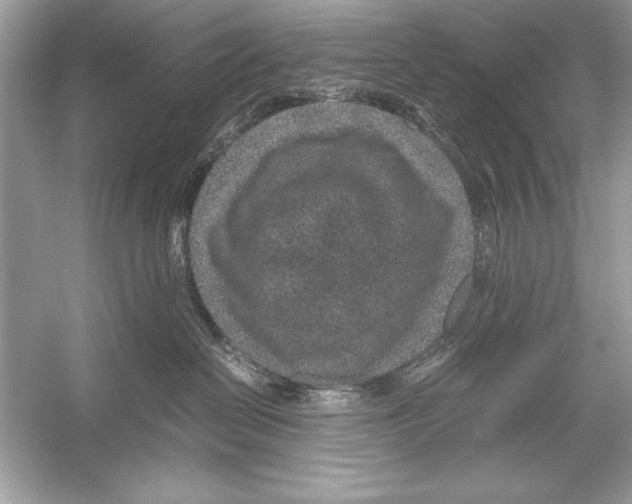 X0000051880286200507221957