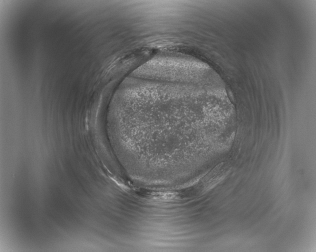 X0000051880288200507221957