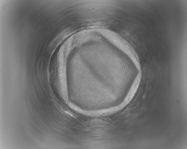 X0000051880290200507221957