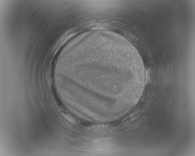 X0000051880291200507221957