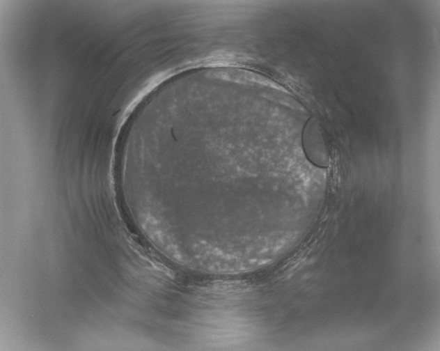 X0000051880292200507221957