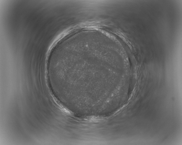 X0000051880293200507221957