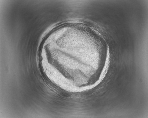 X0000051880294200507221957