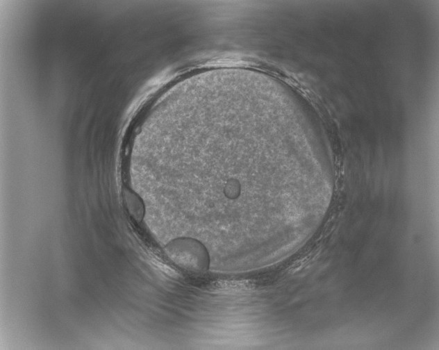 X0000051880296200507221957