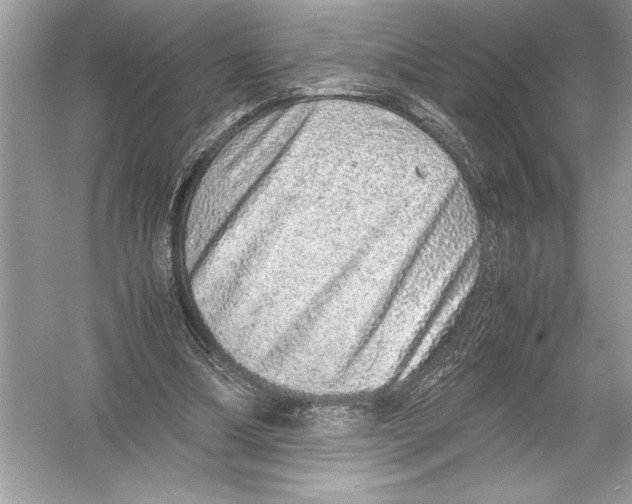 X0000051880298200507221957