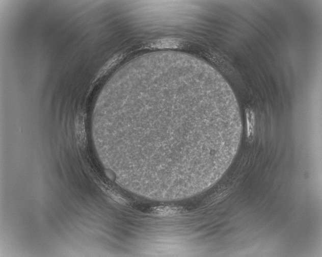 X0000051880300200507221956