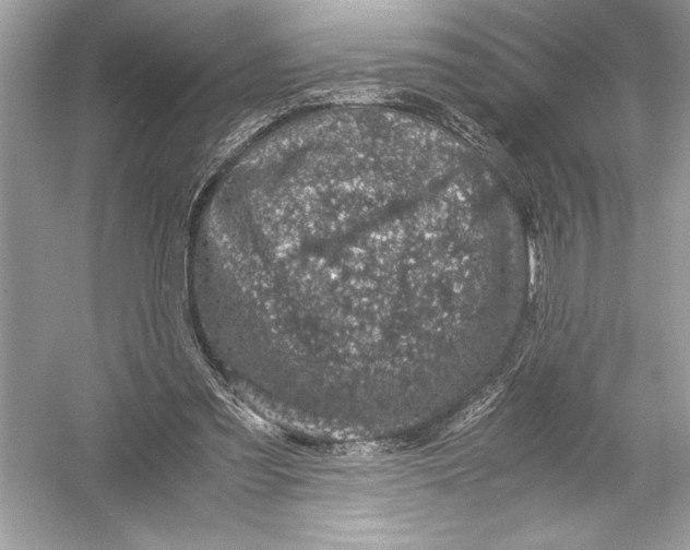 X0000051880301200507221956