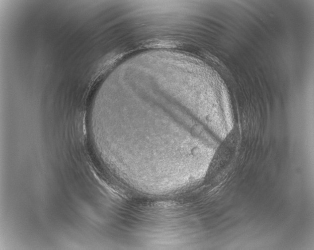 X0000051880302200507221956