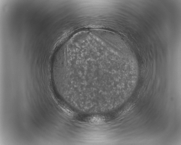 X0000051880303200507221956