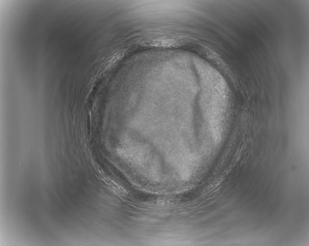 X0000051880305200507221956