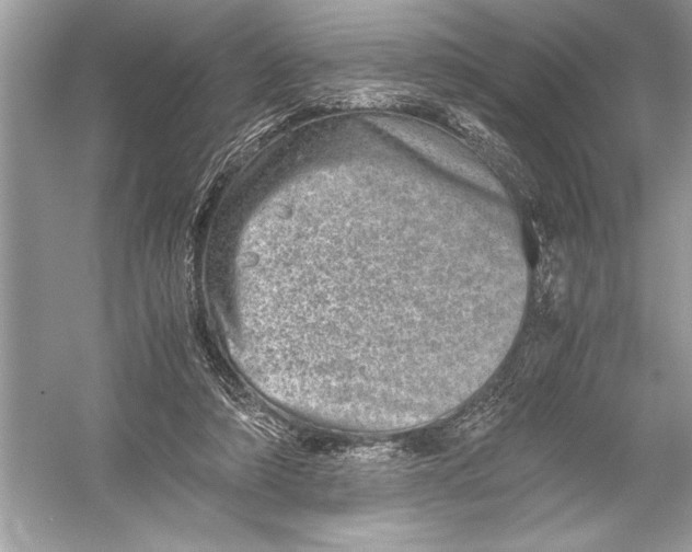 X0000051880306200507221956