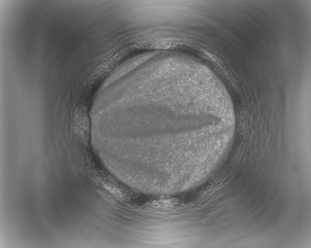 X0000051880307200507221956