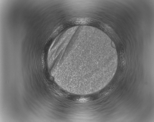 X0000051880312200507221956