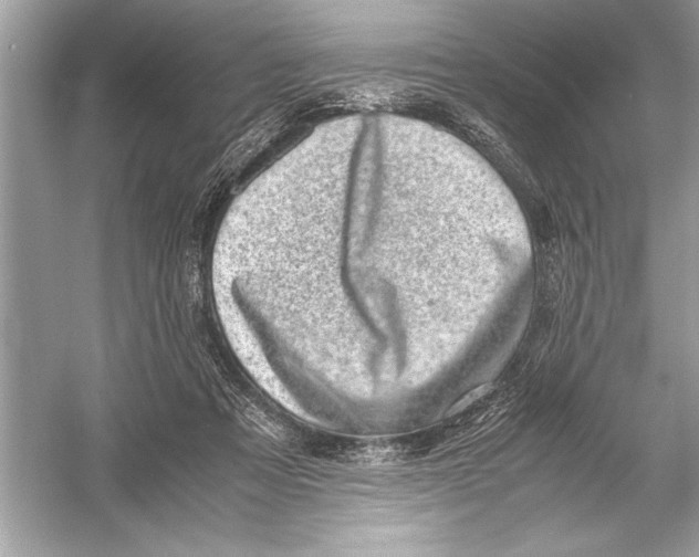 X0000051880313200507221956