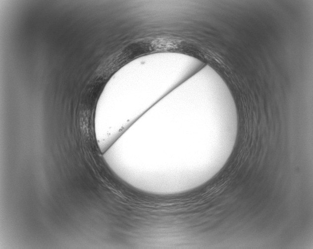 X0000051880315200507221956