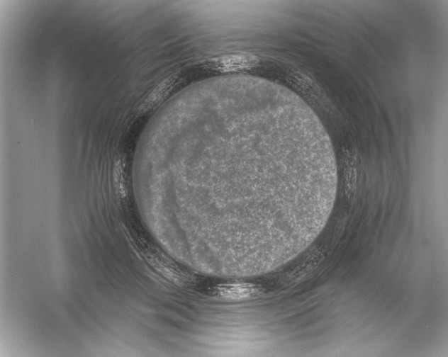 X0000051880316200507221956