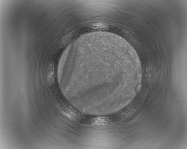 X0000051880320200507221956