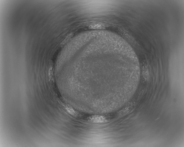 X0000051880322200507221956