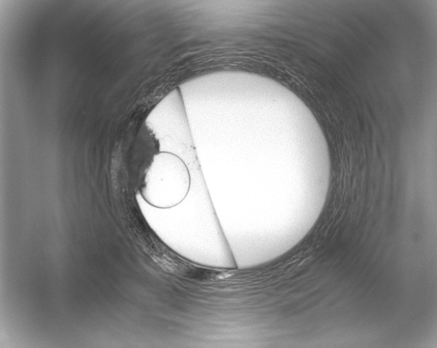 X0000051880323200507221956