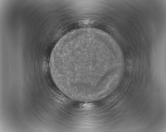 X0000051880324200507221956