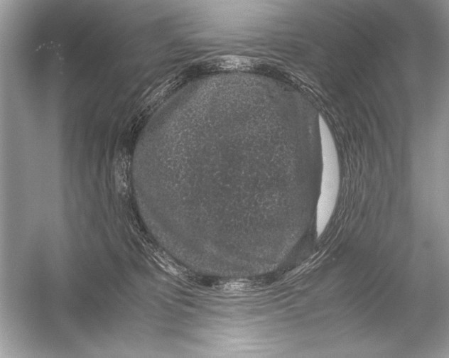 X0000051880325200507221956