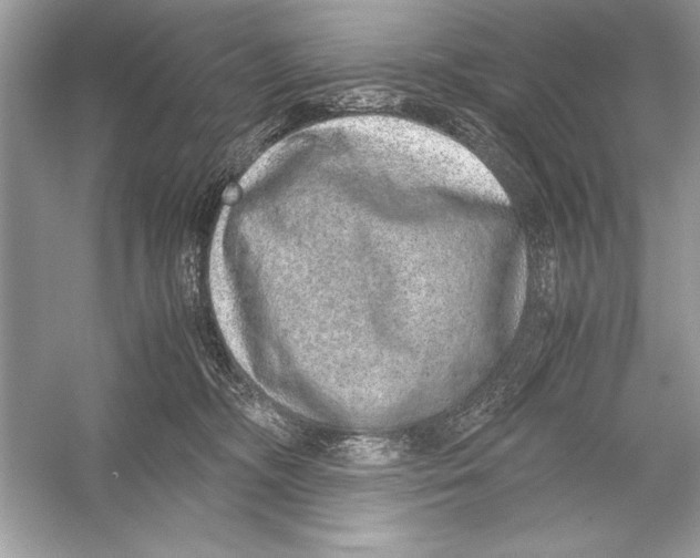 X0000051880326200507221956