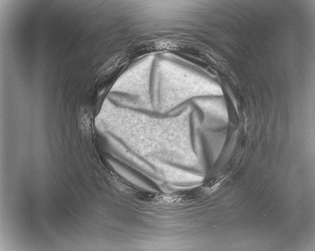 X0000051880329200507221956