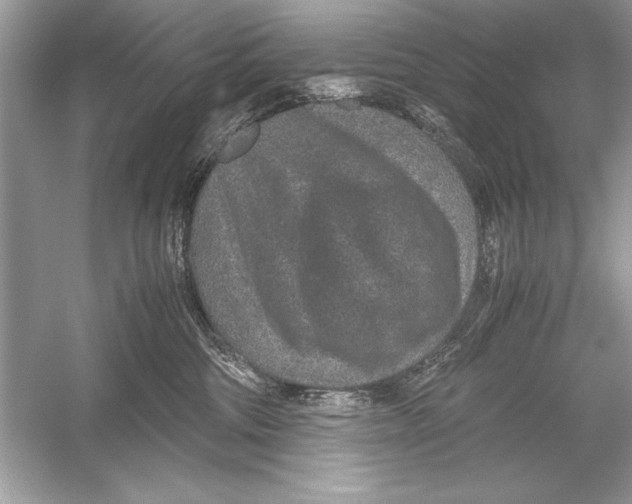 X0000051880330200507221956