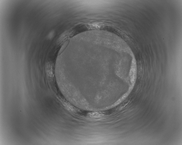 X0000051880331200507221956