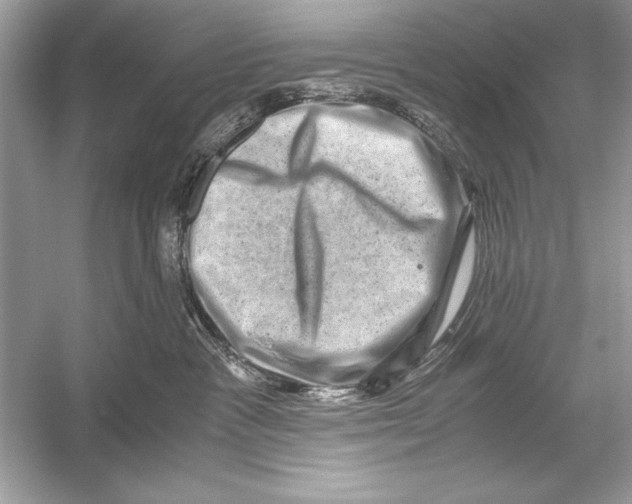 X0000051880333200507221956