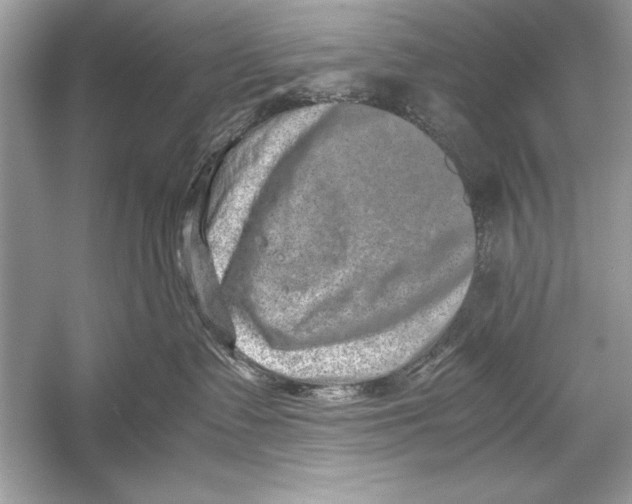 X0000051880335200507221956