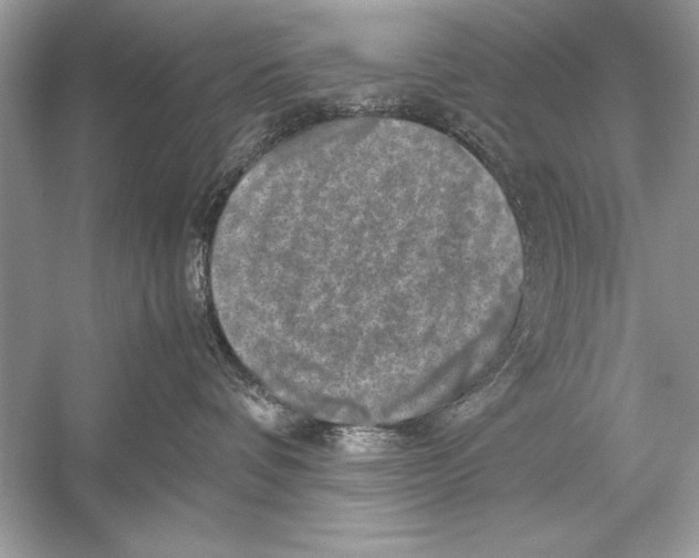 X0000051880336200507221956