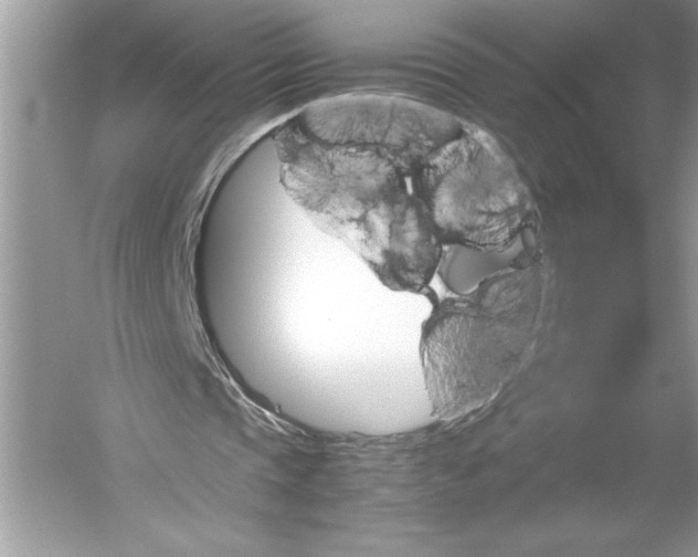 X0000051880337200507221955