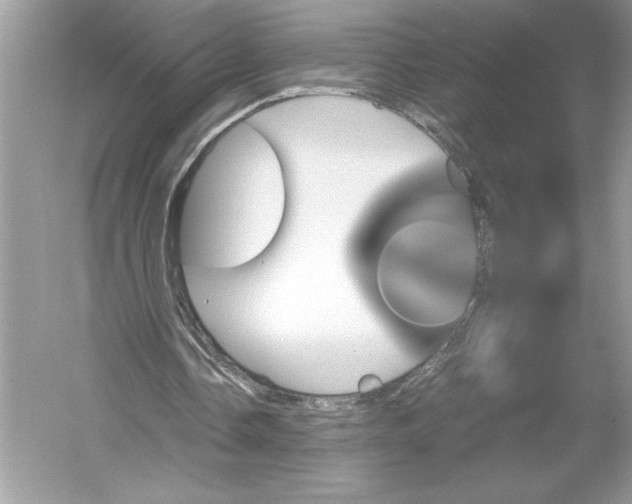 X0000051880338200507221955