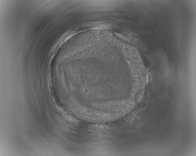 X0000051880339200507221955