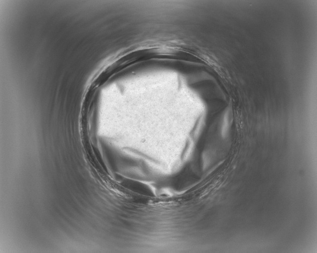 X0000051880340200507221955