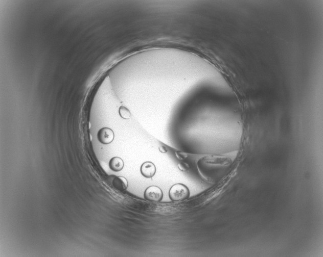 X0000051880341200507221955