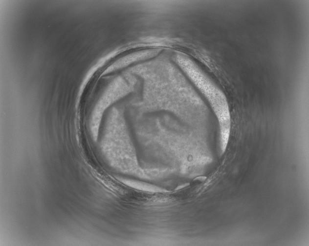 X0000051880342200507221955