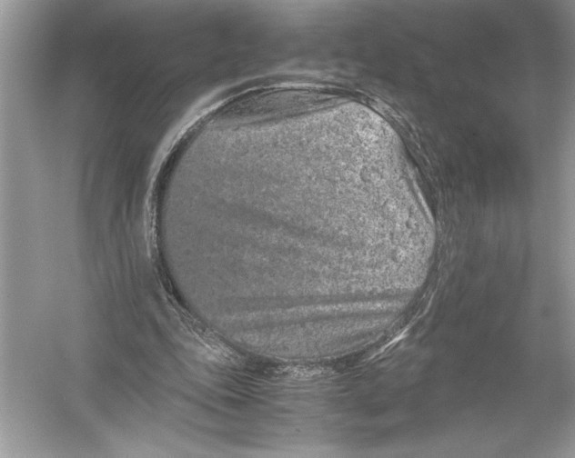 X0000051880343200507221955