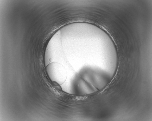 X0000051880345200507221955